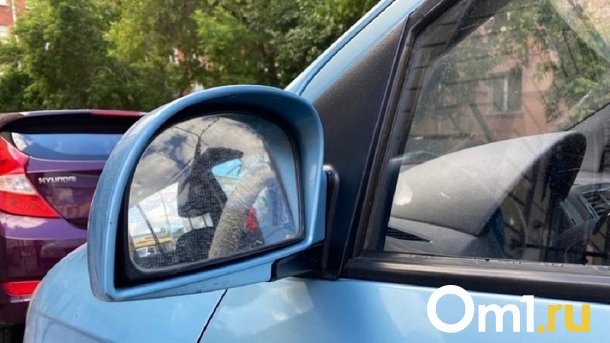 В Октябрьском округе Омска появился автосервис