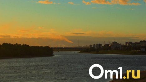 В курортной зоне под Омском утонула молодая девушка