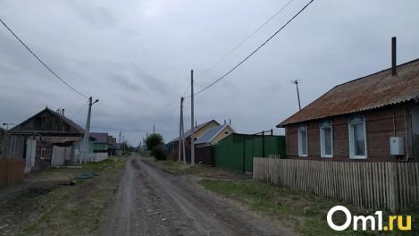 В ещё одном районе Омской области ввели карантин из-за бешенства