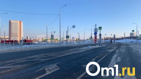 Дорогу-дублёр «за миллиард» на Левобережье Омска не планируют расширять до Ленинградского моста