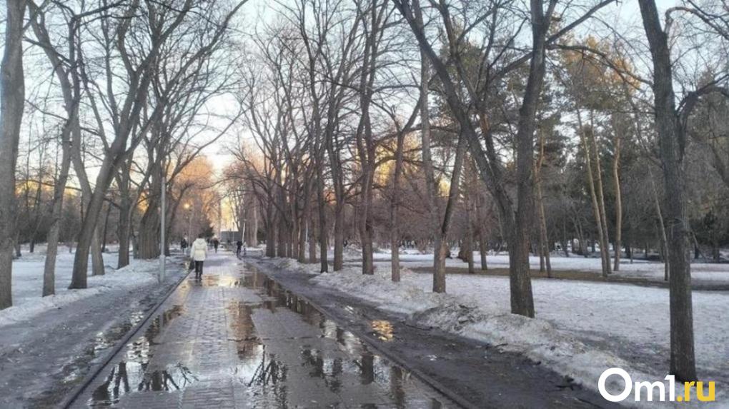 Во второй декаде апреля Новосибирскую область ждут дожди и сильные температурные качели