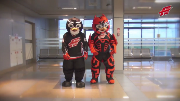 Много Ястребов и один Добрыня: какими были талисманы омского «Авангарда»?