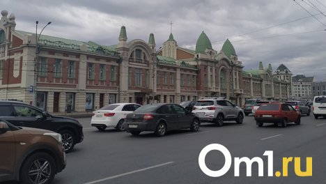 Новые муляжи комплексов фотовидеофиксации нарушений ПДД установят в Новосибирской области