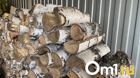 Приговор догнал спустя 14 лет: омичку отправили в колонию за убийство мужа в 2009 году