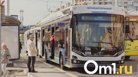 С концерта на «Зелёном острове» омичей развезут на автобусах