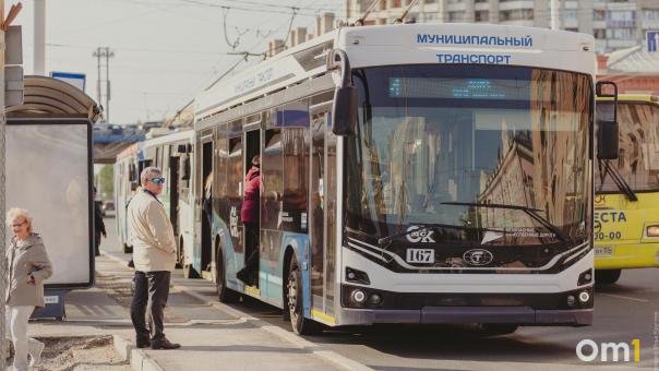 С концерта на «Зелёном острове» омичей развезут на автобусах
