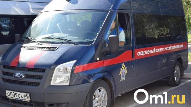 Опознано тело убитой под Новосибирском 5-летней девочки