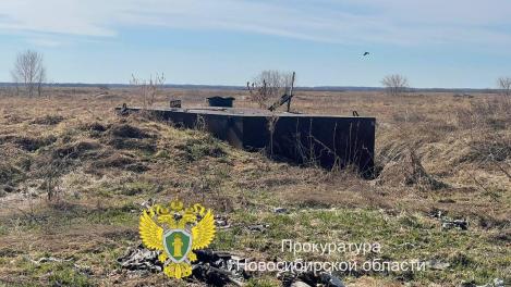 Брошенные скотомогильники обнаружили под Новосибирском