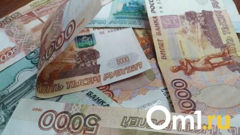 Новосибирская область получит дополнительно 787 млн рублей на выплаты учителям