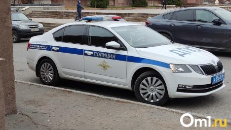 В Омске ребёнок прикинулся госавтоинспектором и останавливал машины