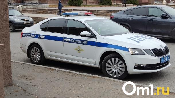 В Омске ребёнок прикинулся госавтоинспектором и останавливал машины