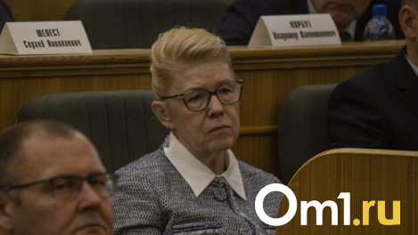 Виталий Хоценко объяснил, почему не стал выдвигать Мизулину в сенаторы от Омской области