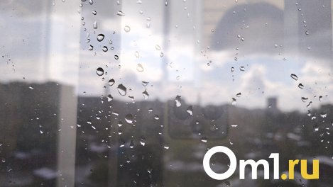 Пасмурная и прохладная погода в Новосибирской области сохранится до пятницы