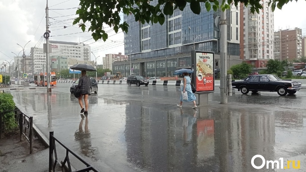Ливень, сильный ветер и пекло: резкие перепады метеоусловий ожидаются в Новосибирске