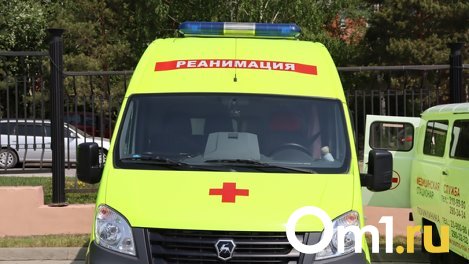 11-летняя девочка погибла в интернате под Новосибирском