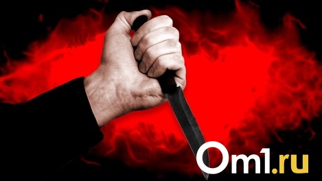 «Мог убежать, но испугался за машину»: стали известны подробности убийства пассажира такси в Новосибирске