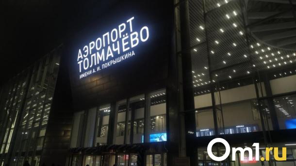 Отбился от миллиарда: Новосибирский аэропорт Толмачёво выиграл суд у Росприроднадзора