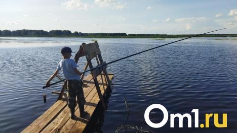 В Омской области вводят ограничения на ловлю рыбы: что нужно знать рыбаку