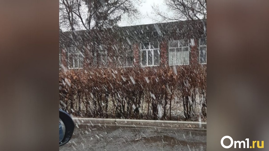 Омскую область накрыл ураганный ветер и сильный снег – ВИДЕО