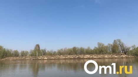 На острове под Омском могут построить аквапарк и домики для барбекю