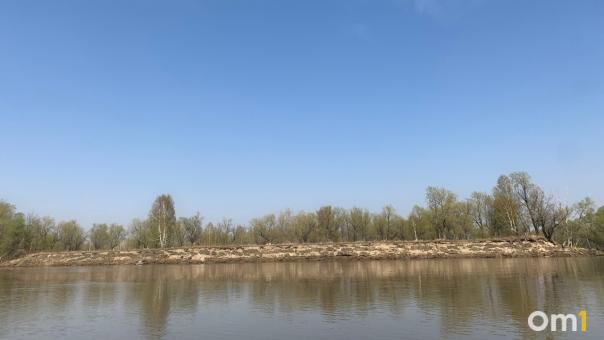На острове под Омском могут построить аквапарк и домики для барбекю