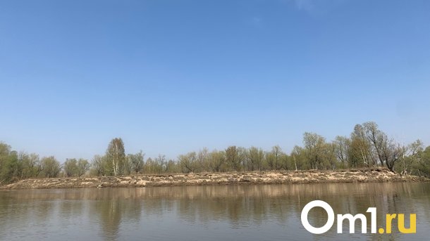 На острове под Омском могут построить аквапарк и домики для барбекю