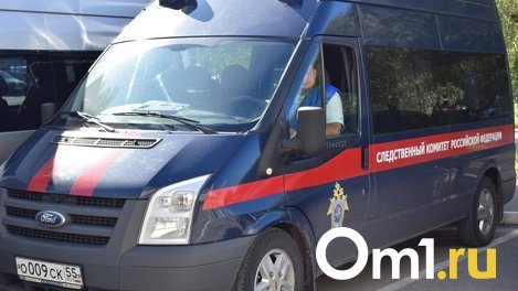 Главе СК Бастрыкину представят доклад о ходе расследования убийства школьницы в Новосибирской области