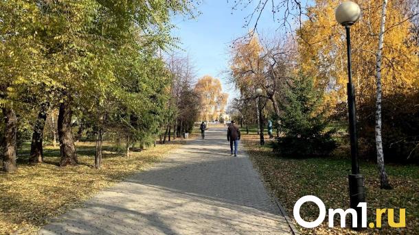 Из сквера в центре Омска убрали практически всю плитку