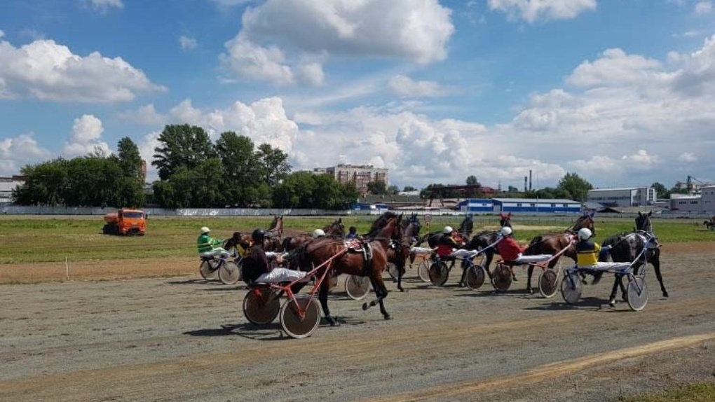 В Омске на конных скачках разыграют миллион рублей