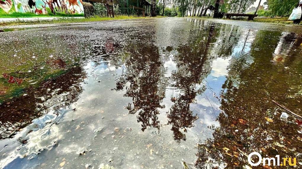 Стало известно, когда дожди в Омске сменятся жарой