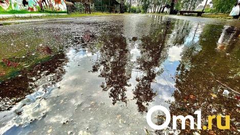 Стало известно, когда дожди в Омске сменятся жарой
