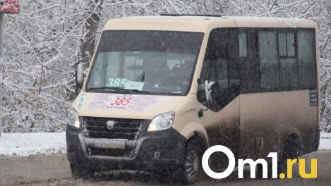 Стекло люка в омской маршрутке рухнуло и разбилось в проходе между креслами