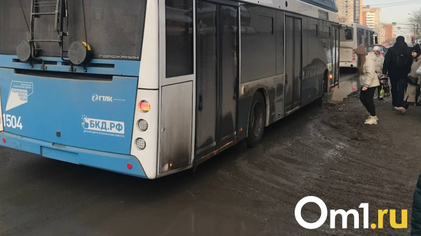 Мэр Новосибирска Локоть потребовал отчистить город от грязи и отсева