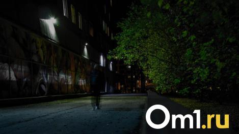 В Омске иностранец поймал на улице девочку-подростка и надругался над ней