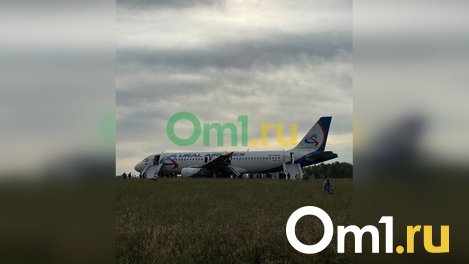 МЧС опубликовало видео с места экстренной посадки самолёта