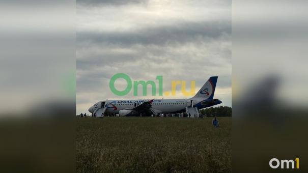 МЧС опубликовало видео с места экстренной посадки самолёта