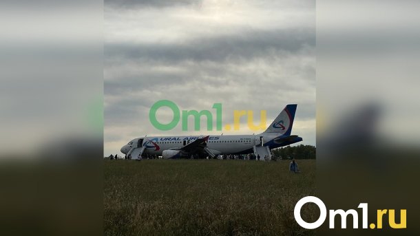 МЧС опубликовало видео с места экстренной посадки самолёта