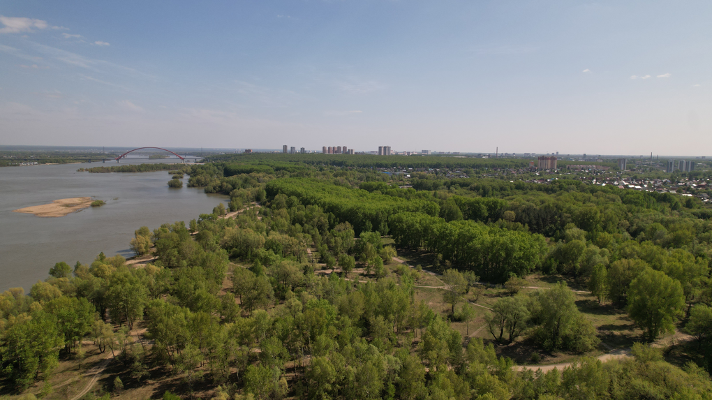 Дождевой сад и богатые парки: в Новосибирске создадут экологичный и современный водно-зеленый каркас