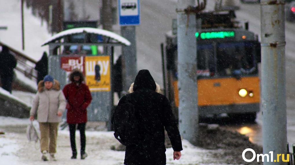 Опубликована дата, когда в Омске пройдёт первый мощный снегопад