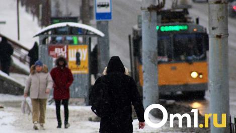 Опубликована дата, когда в Омске пройдёт первый мощный снегопад