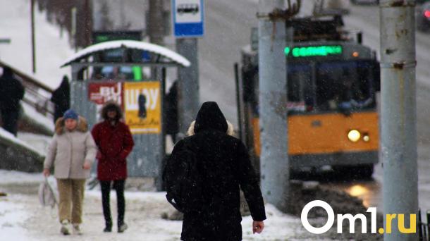 Опубликована дата, когда в Омске пройдёт первый мощный снегопад
