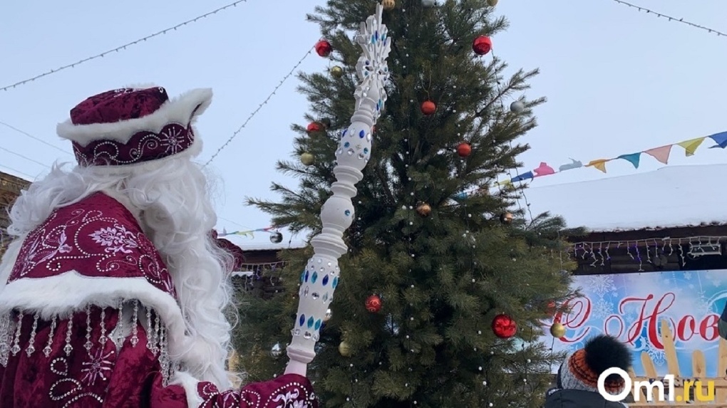 В Омске рассказали, где и за сколько можно будет купить новогодние ёлки — СПИСОК