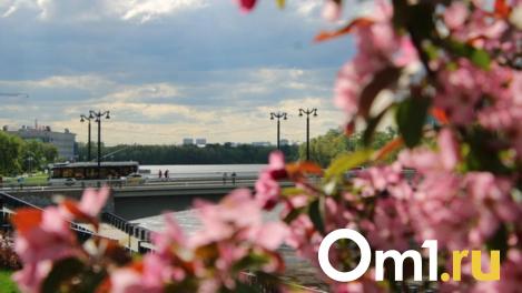 Три самых необычных события этих выходных в Новосибирске