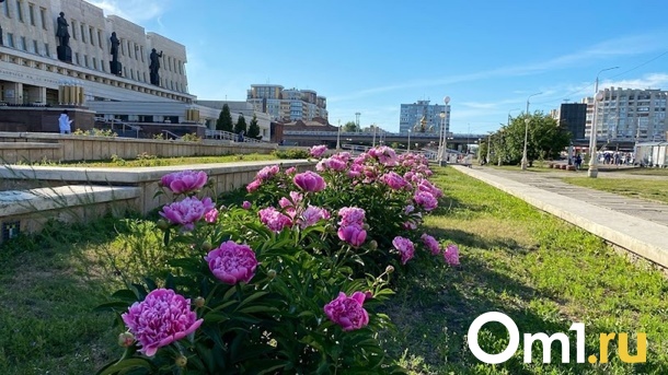 Жарче, чем в Бразилии. Скоро в Омске наступит летняя погода