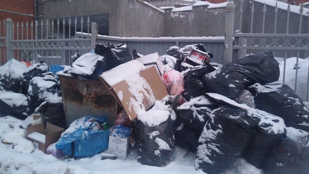 Жители Новосибирска пожаловались на мусорный коллапс во дворах