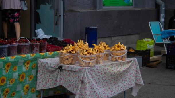 Выносят вёдрами: омичи уже в мае начали сбор грибов
