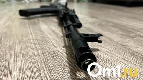 Омичи пожаловались на мужчину, стреляющего из ружья в собак