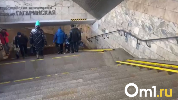 Жительница Новосибирска пожаловалась на протекающую крышу в метрополитене