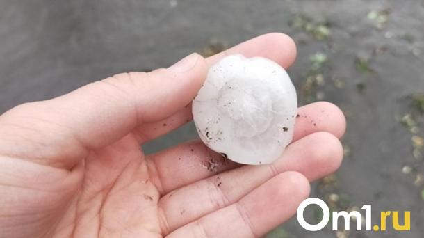 Град размером с перепелиное яйцо: непогода обрушилась на север Омской области