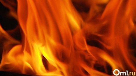 В двух районах Омской области сгорели частные дома — погибли двое мужчин